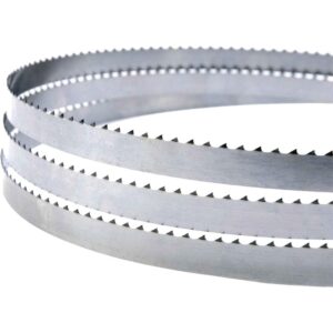 LEM Products Replacement Blade for Electric Tabletop Meat Saw (LS1561)