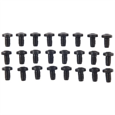 24 PACK H/H BLUE SCREWS