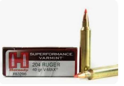 Hornady 204 Ruger 40gr V-Max 83206