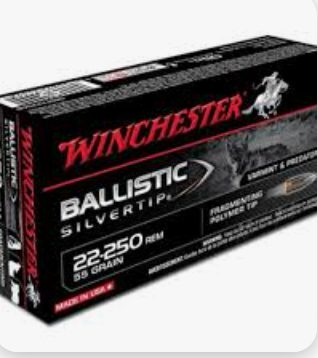 Winchester Repeating Arms 22-250 55GR SILVERTIP