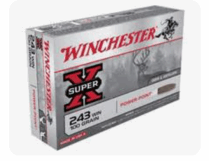 Winchester Repeating Arms 243 WIN 100GR X243100
