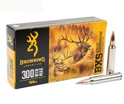 Browning 300 WIN MAG 180GR BXS