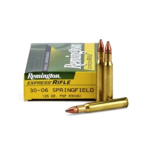 Remington 30-06 125gr Core-Lokt PSP