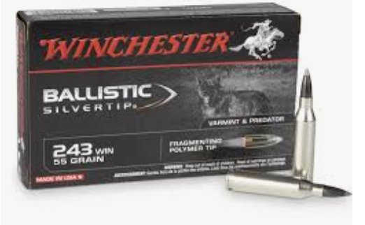 Winchester Repeating Arms 243 Winchester 55gr Ballistic Silvertip SBST243