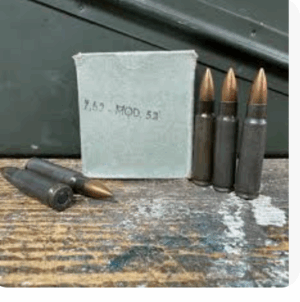Military Surplus 7.62x45 15rnds