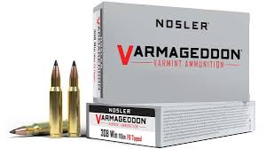 Nosler 308 WIN 110GR FB TIPPED