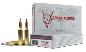 Nosler 22 NOSLER 53GR FB TIPPED 65177