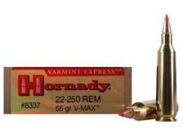 Hornady Varmint Express 22-250 Remington Ammo 55 Grain V-Max - 8337