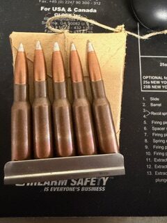 Russian 7.62x54R 147gr steel core silver tip. 15 rounds On clips.