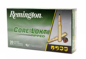 REM CORE-LOKT 300REM 180GR TIPPED 20/10